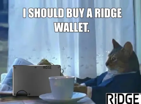 Cat newspaper brand meme ad example