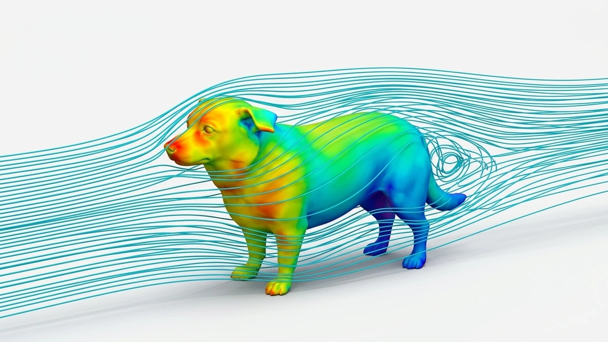 Dog rendered as a wind tunnel heatmap with rainbow pressure colors and cyan streamlines